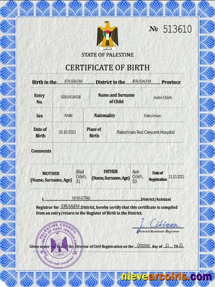 Palestine vital record birth certificate